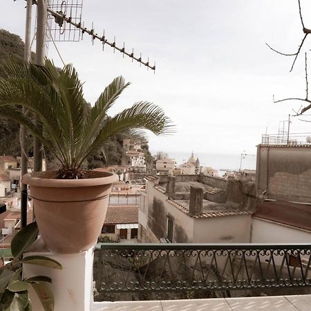 Casa Nel Borgo Dei Gatti Apartment Cetara Bagian luar foto