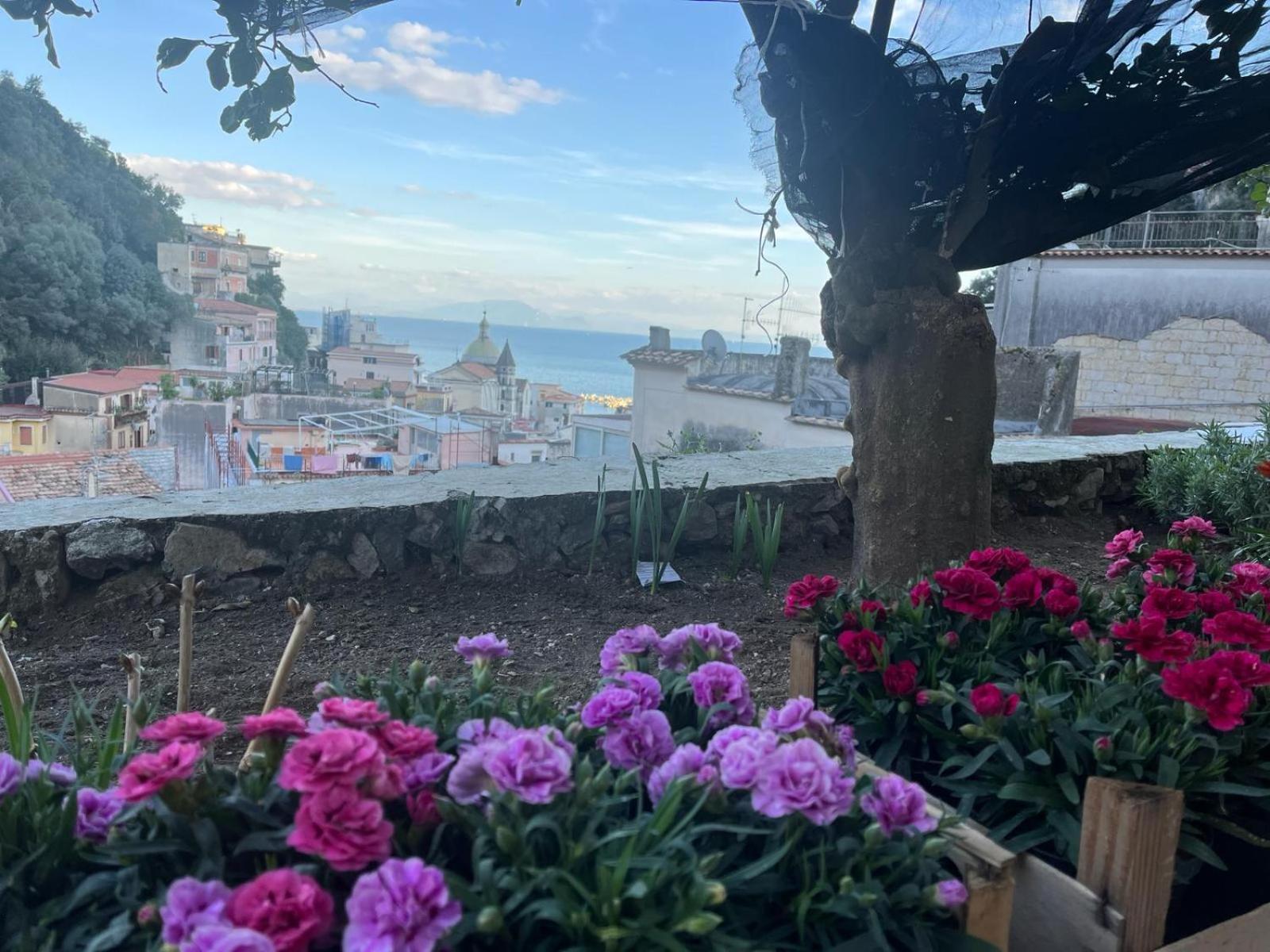 Casa Nel Borgo Dei Gatti Apartment Cetara Bagian luar foto